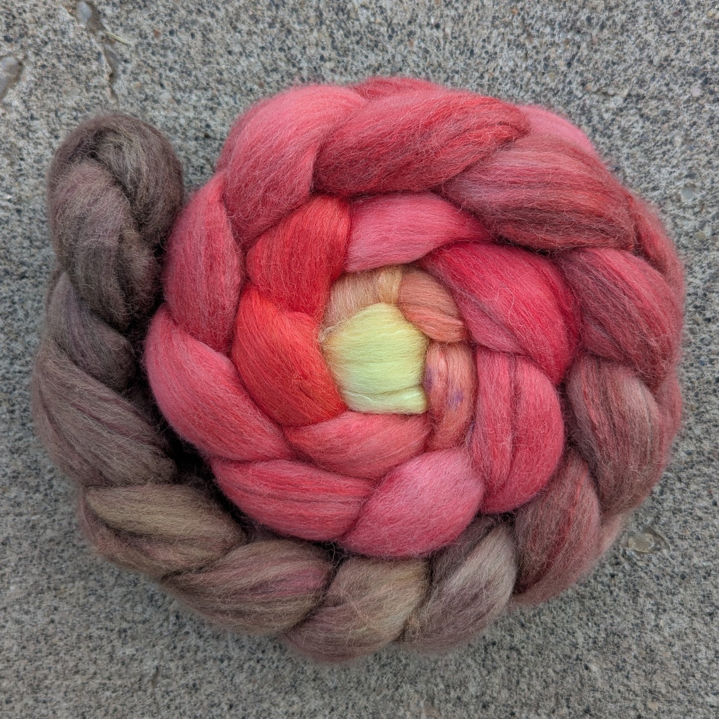 Flicker - Falkland Merino Mulberry Combed Top