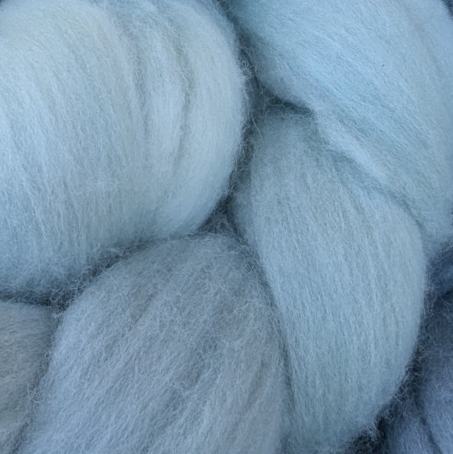Limited Edition - 14.5 Micron Merino