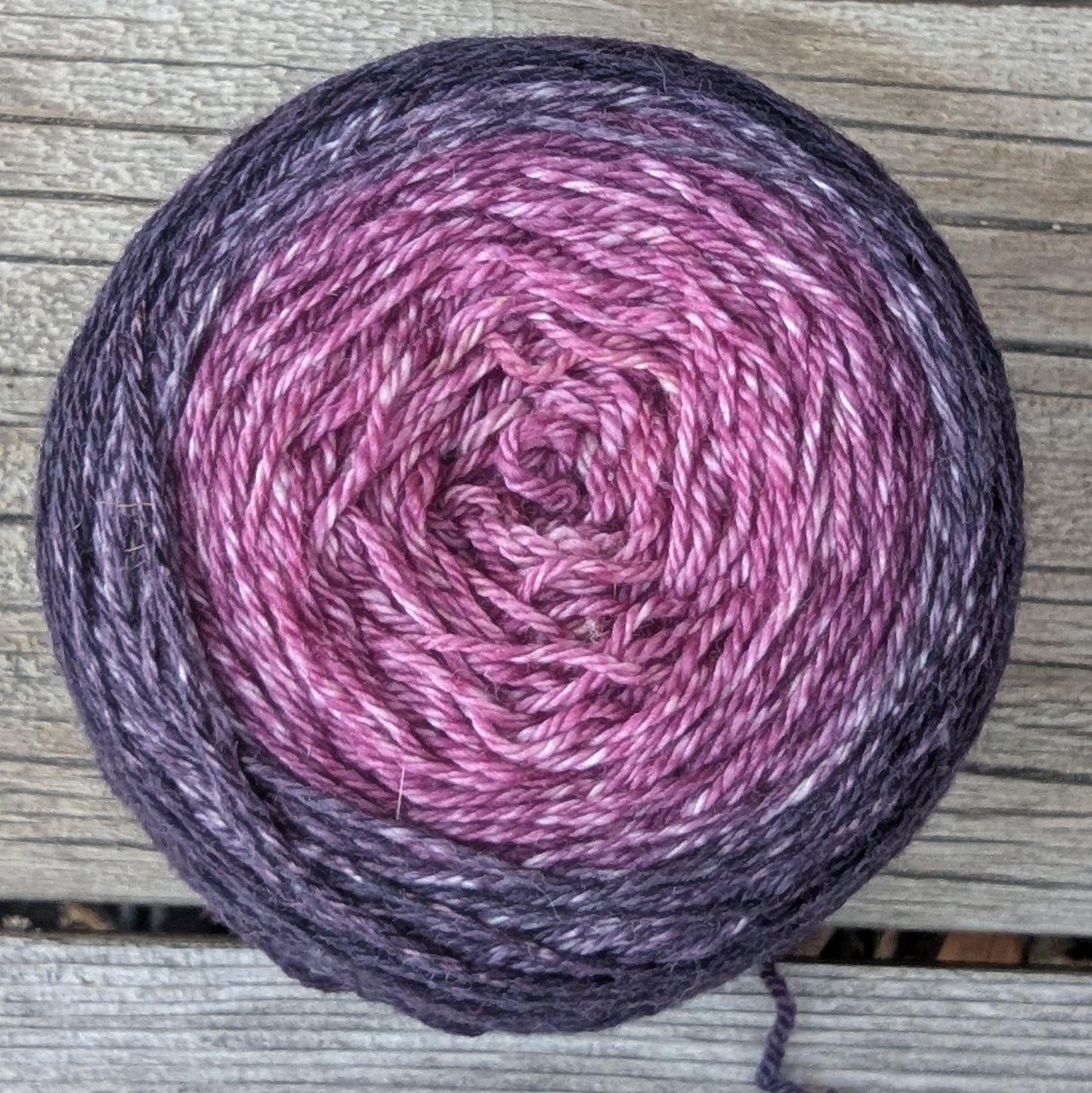 Cortadillo Birthday Cake - 700 Yard MCN Gradient
