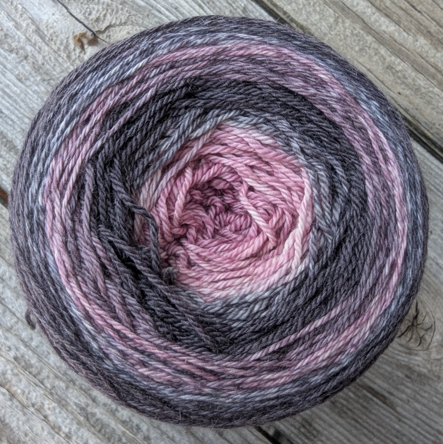 Cortadillo Birthday Cake - 700 Yard MCN Gradient