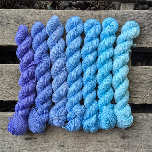Let's Go, Oiseau! - Merino Cashmere Nylon Fingering Weight Gradient Set