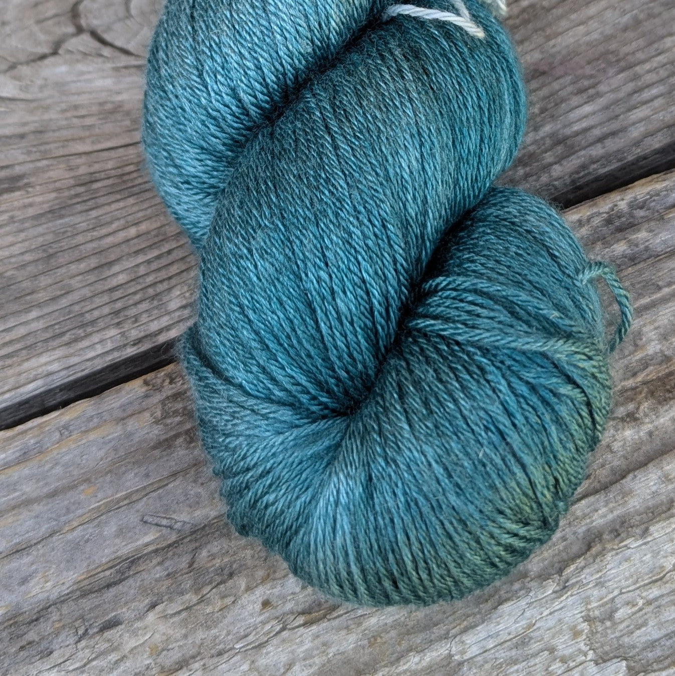 Rocky Mountain Douglas-fir - Merino Silk Fingering Weight Yarn