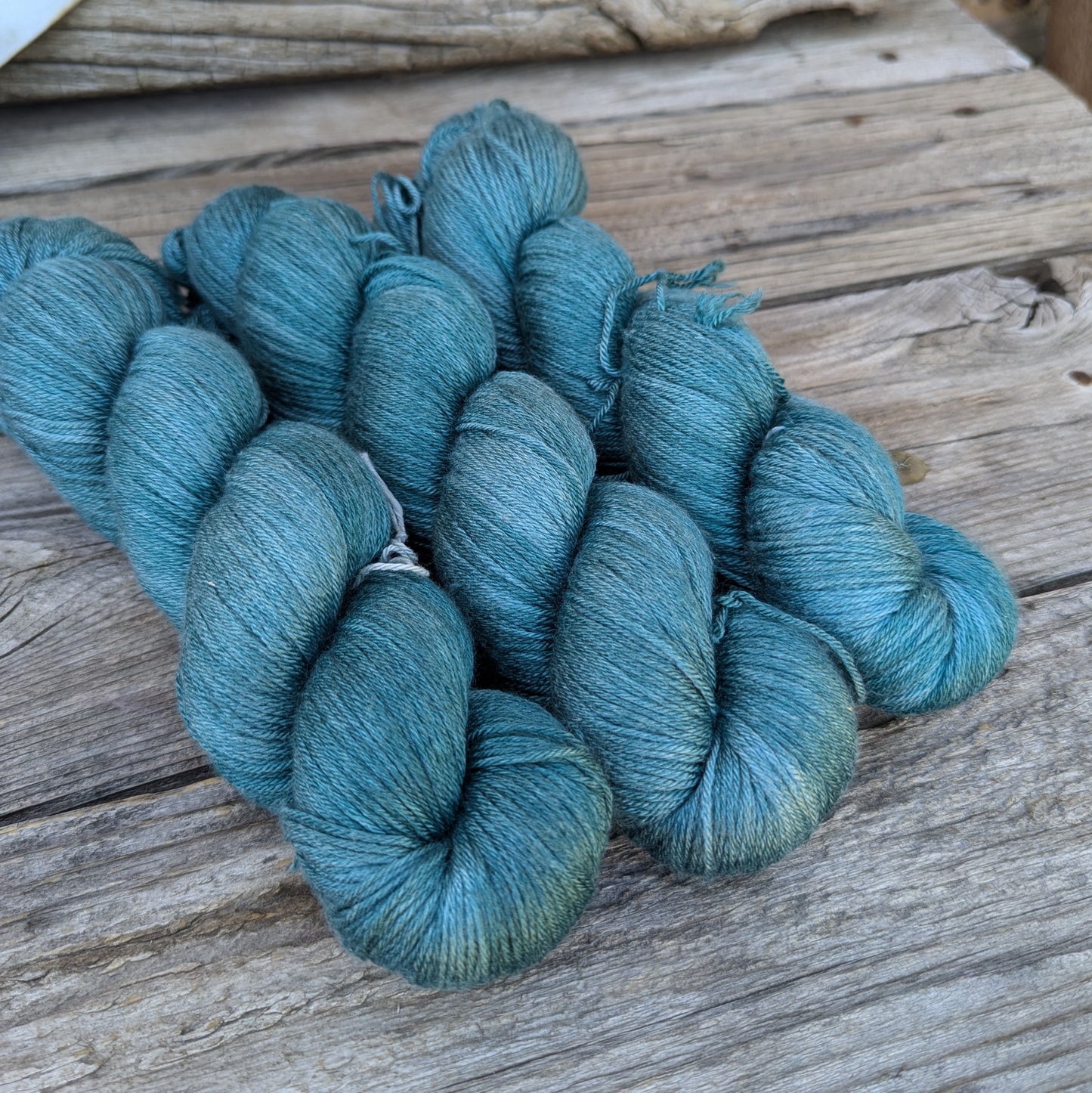 Rocky Mountain Douglas-fir - Merino Silk Fingering Weight Yarn