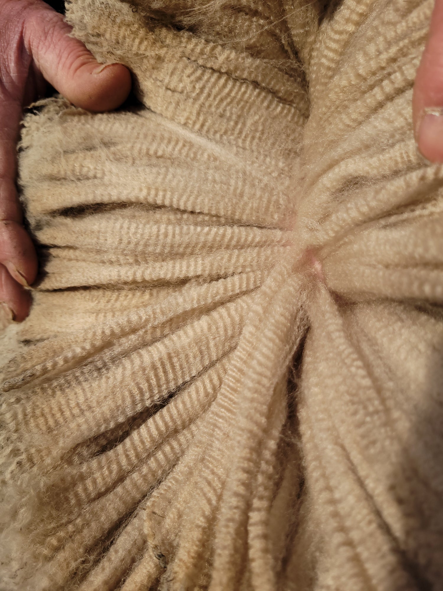Haunui Wool Combed Top