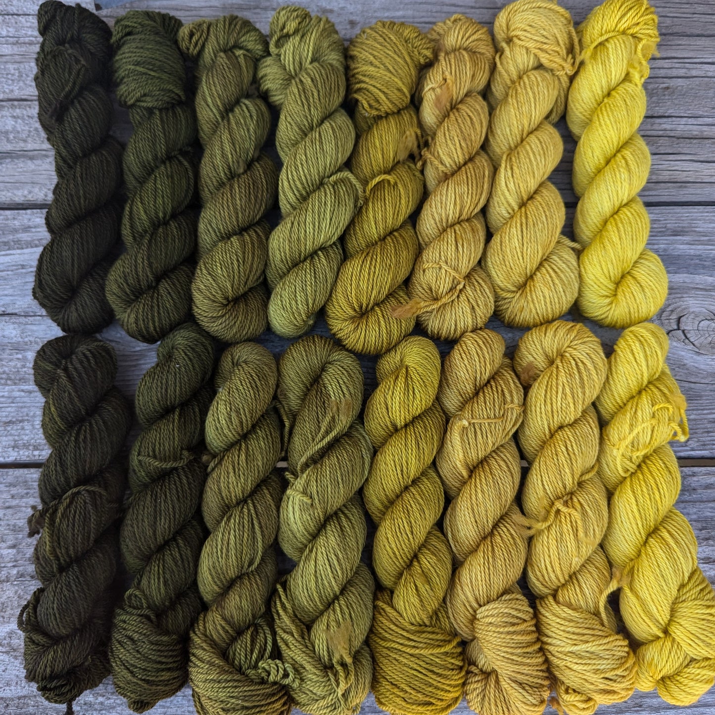 September Sunflowers - Merino Cashmere Nylon Fingering Weight Gradient