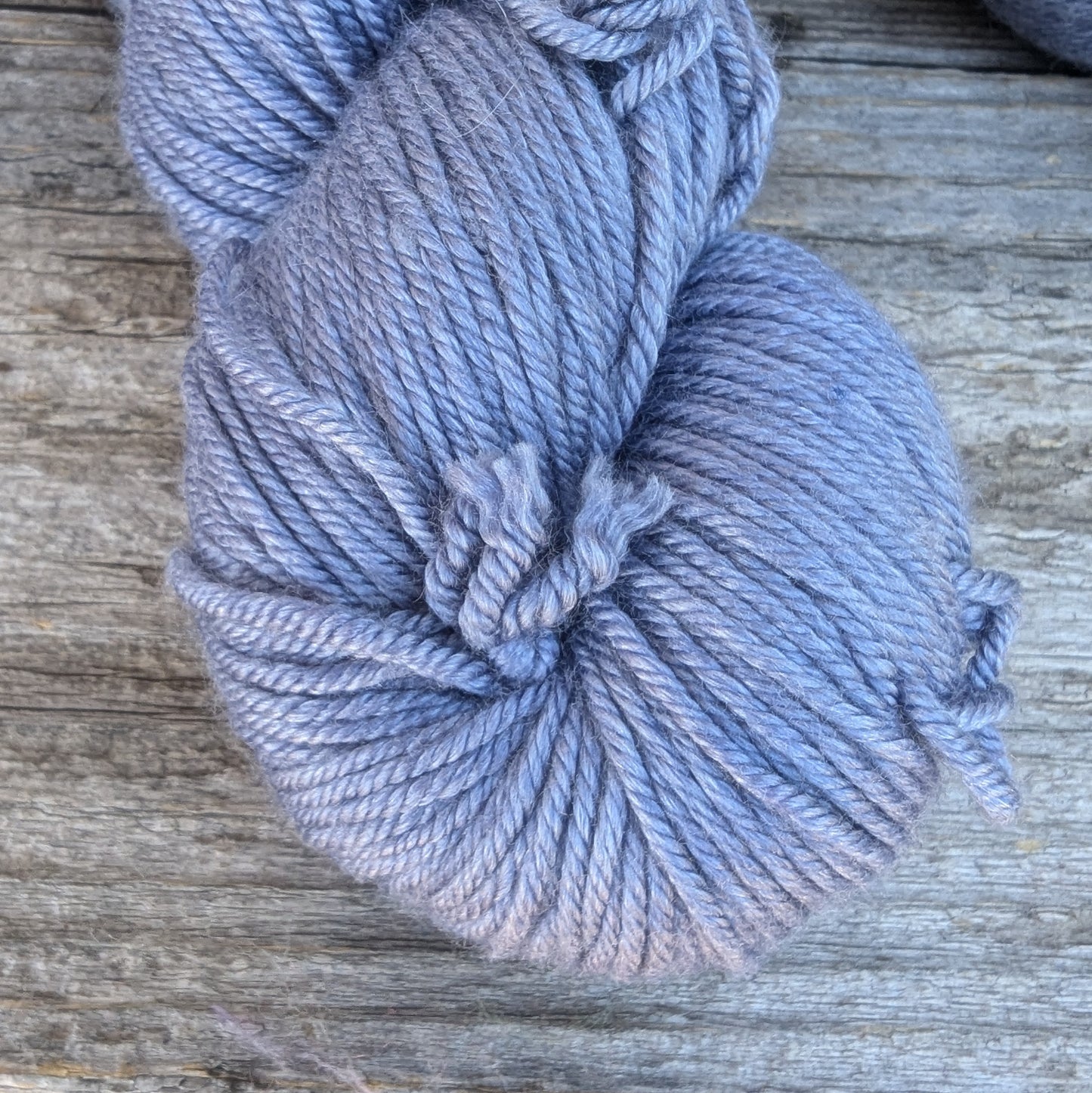 Chicory - Merino Silk DK Weight Yarn