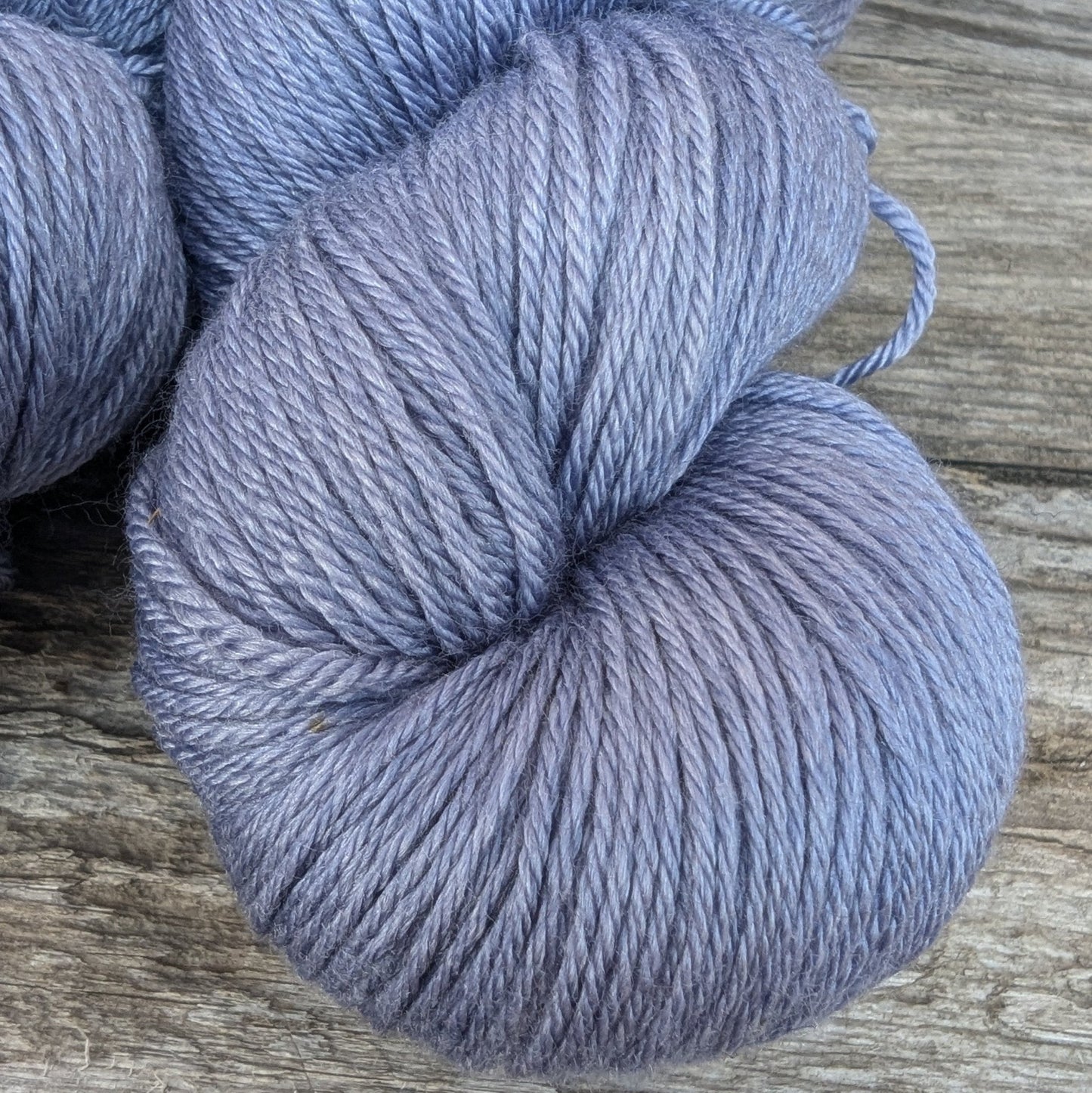 Chicory - Merino Silk Fingering Weight Yarn - BlueSavannah