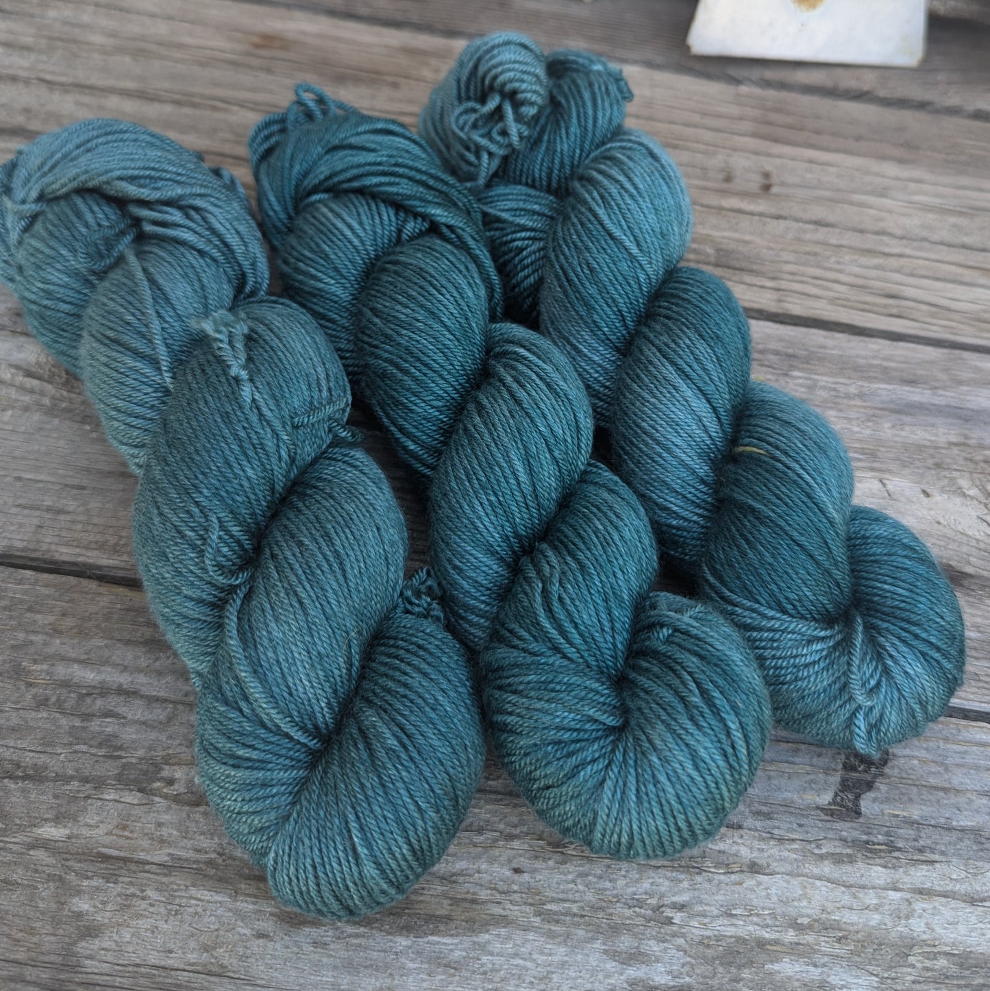 Rocky Mountain Douglas-fir - Merino Silk DK Weight Yarn