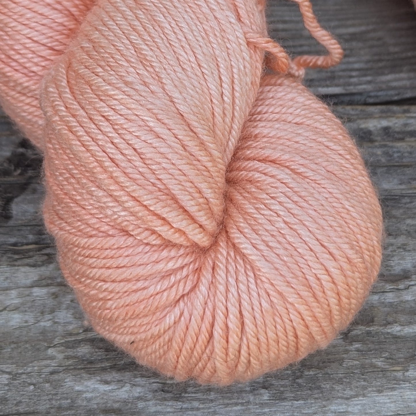 Kokanee - Merino Silk DK Weight Yarn