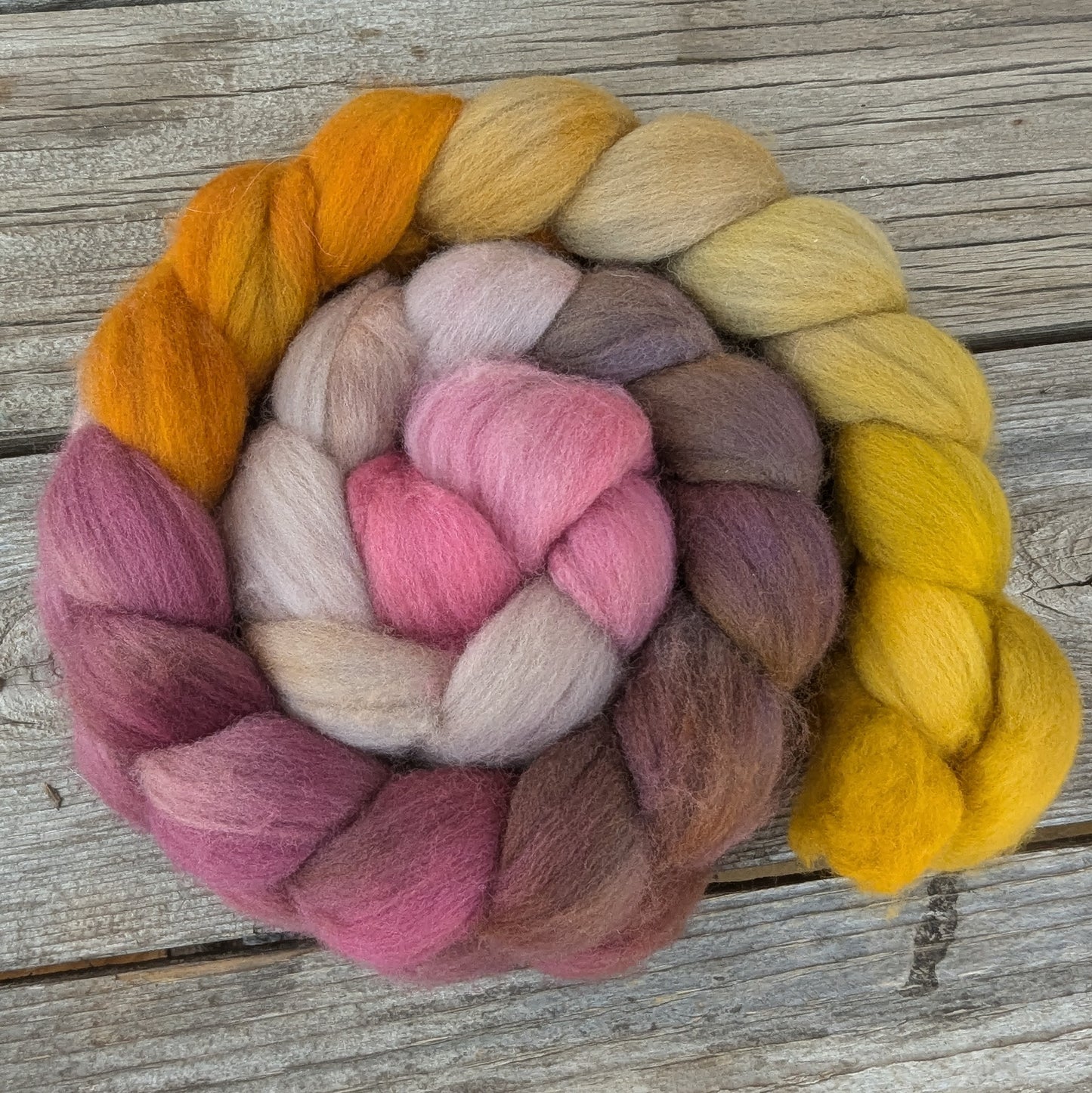 One of a Kind - Polwarth Combed Top