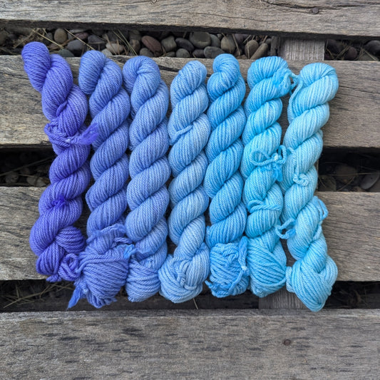 Let's Go, Oiseau! - Merino Cashmere Nylon DK Weight Gradient Set