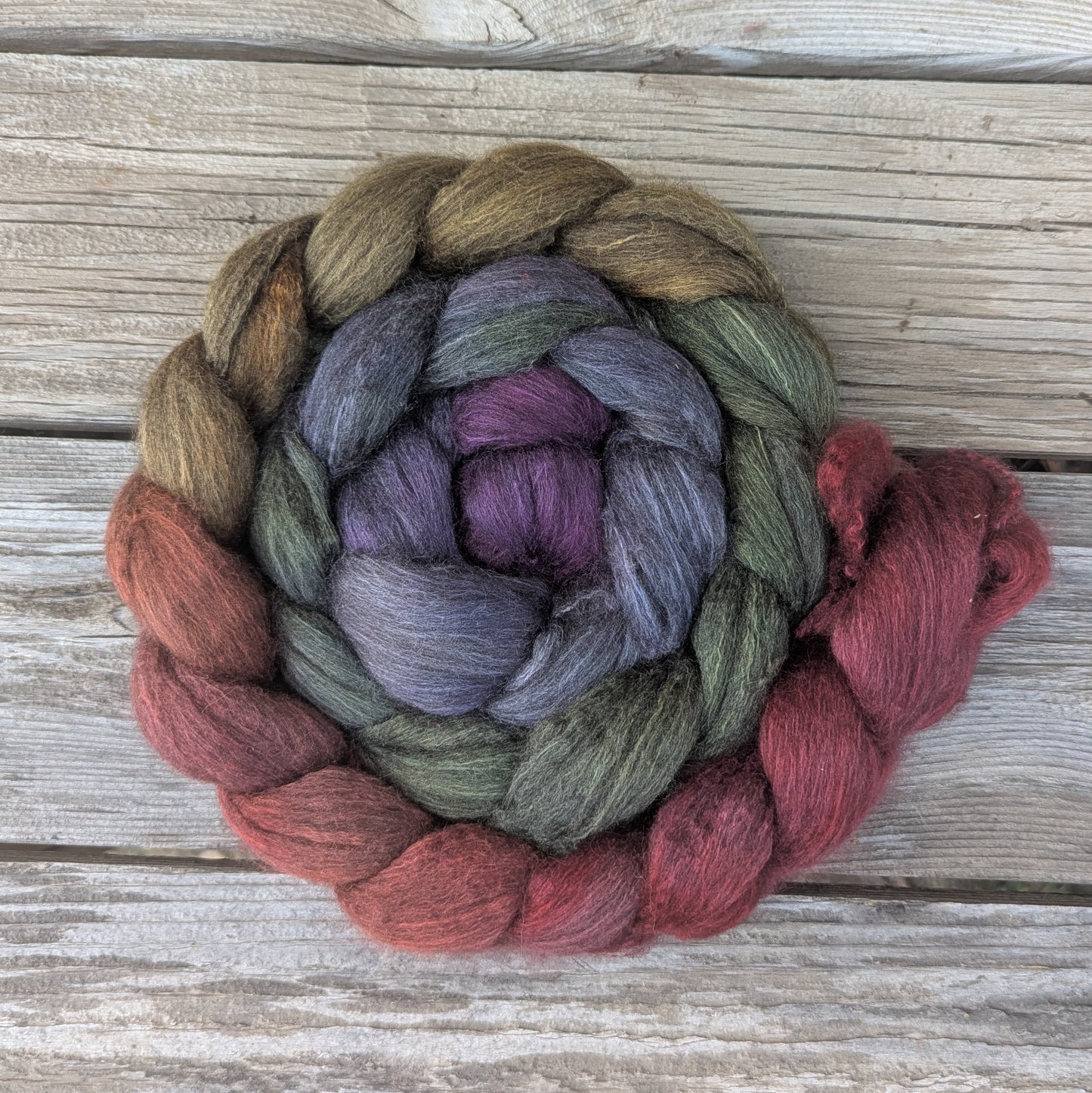 Snowdon Beetle - 70/30 Haunui Mulberry Combed Top