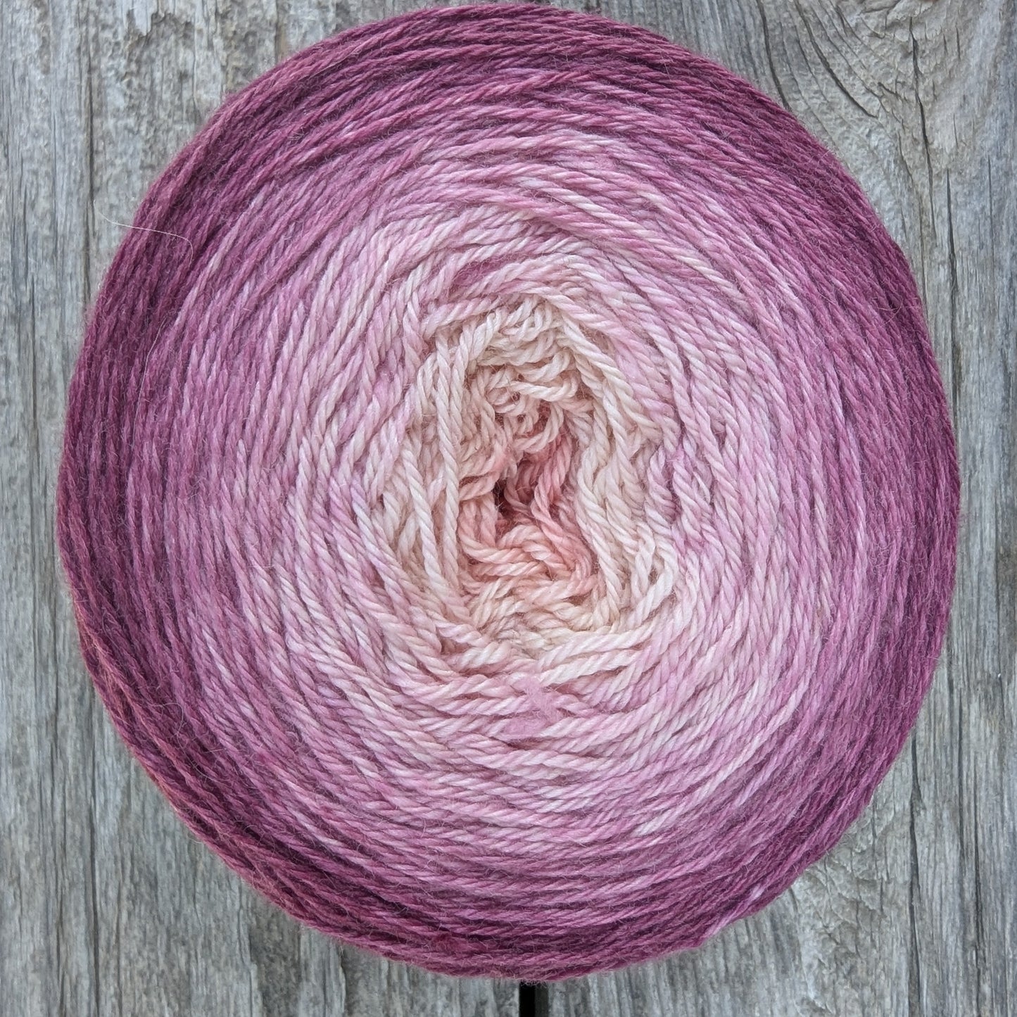 Cortadillo Birthday Cake - 700 Yard MCN Gradient