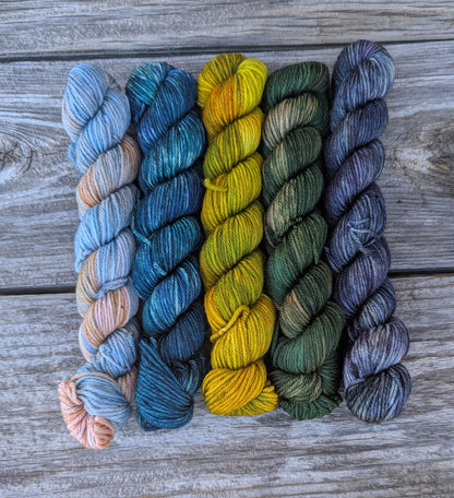 This Land is Your Land - Merino Cashmere Nylon Fingering Weight Gradient Set