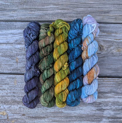 This Land is Your Land - Merino Cashmere Nylon DK Weight Gradient Set